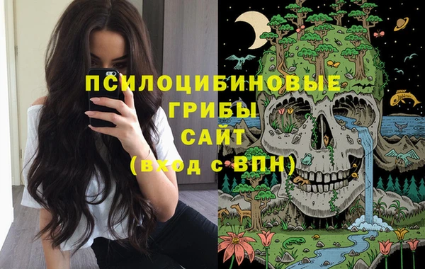 ALPHA PVP Аркадак